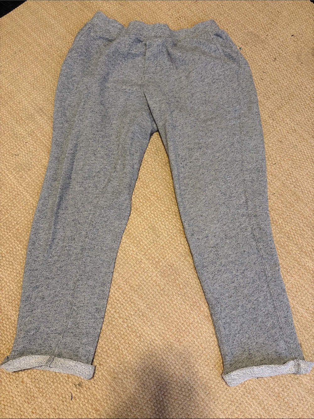 Roots Gray Heather Cozy Track Pants